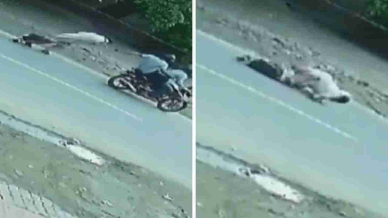 CCTV Footage: ಹಾಡು ಹಗಲೇ ರಸ್ತೆ ಬದಿ ನಡೆದುಕೊಂಡು ಹೋಗುತ್ತಿದ್ದ ಮಹಿಳೆಯ ಸರ ಕಿತ್ತು ಪರಾರಿಯಾದ ಖದೀಮರು ; ಸಿಸಿಟಿವಿ ದೃಶ್ಯ ಇಲ್ಲಿದೆ ನೋಡಿ