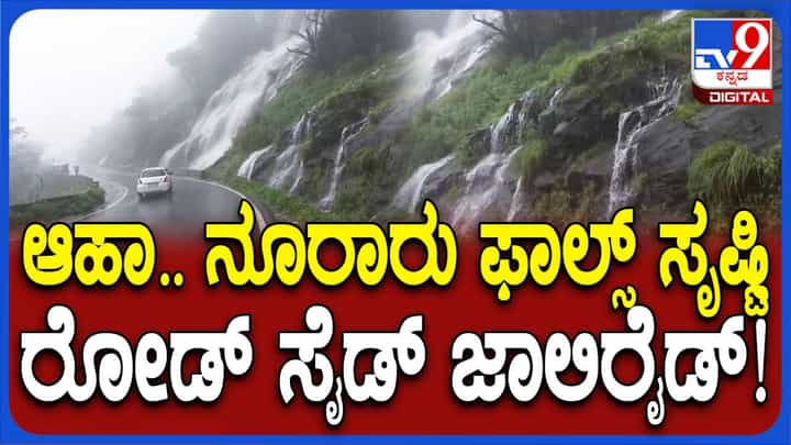 ಮುಂಗಾರು ಮಳೆಗೆ ಚಾರ್ಮಾಡಿ ಘಾಟ್ನಲ್ಲಿ ಜಲವೈಭವ; ನೂರಾರು ಜಲಪಾತಗಳ ಸೃಷ್ಟಿ ಮುಂಗಾರು ಮಳೆಗೆ ಚಾರ್ಮಾಡಿ ಘಾಟ್ನಲ್ಲಿ ಜಲವೈಭವ; ನೂರಾರು ಜಲಪಾತಗಳ ಸೃಷ್ಟಿ