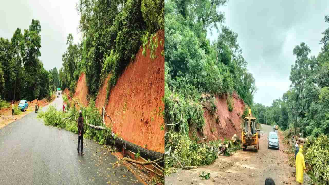 ಶಿರೂರು ಗುಡ್ಡ ಕುಸಿತ ಬೆನ್ನಲ್ಲೇ ಎಚ್ಚೆತ್ತ ಚಿಕ್ಕಮಗಳೂರು ಜಿಲ್ಲಾಡಳಿತ; ಅಪಾಯಕಾರಿ ಸ್ಥಳದಲ್ಲಿದ್ದ ಮರಗಳ ತೆರವು