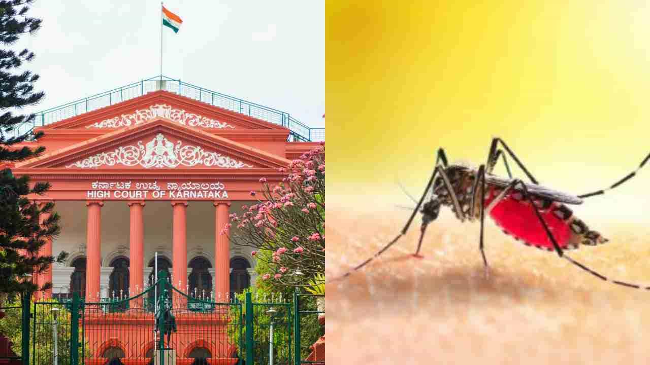 ಕರ್ನಾಟಕದಲ್ಲಿ ಡೆಂಗ್ಯೂ ಹೆಚ್ಚಳಕ್ಕೆ ಹೈಕೋರ್ಟ್ ಕಳವಳ: ಸರ್ಕಾರಕ್ಕೆ ಖಡಕ್ ಸೂಚನೆ ಕರ್ನಾಟಕದಲ್ಲಿ ಡೆಂಗ್ಯೂ ಹೆಚ್ಚಳಕ್ಕೆ ಹೈಕೋರ್ಟ್ ಕಳವಳ: ಸರ್ಕಾರಕ್ಕೆ ಖಡಕ್ ಸೂಚನೆ