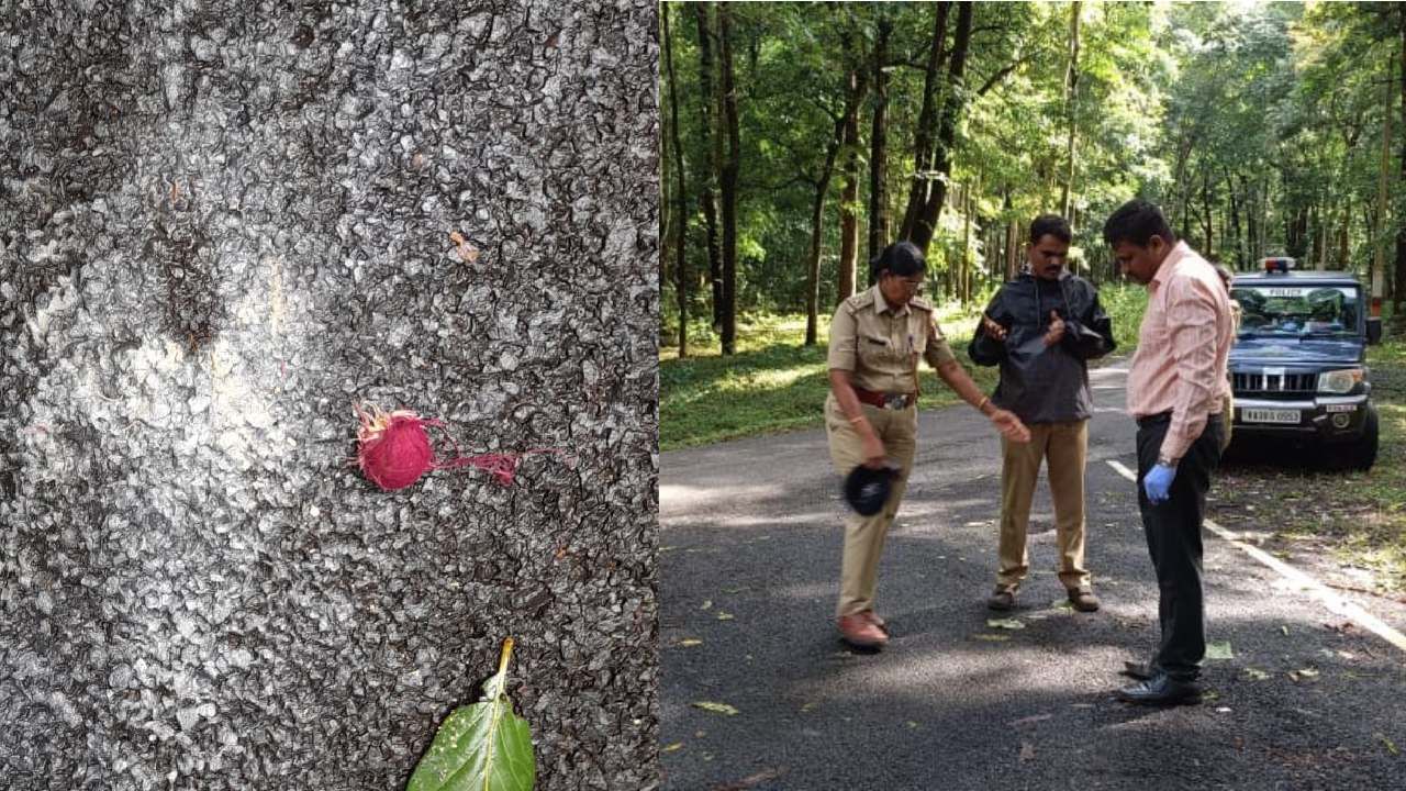 ಉತ್ತರ ಕನ್ನಡ: ಪತ್ರಕರ್ತರು ಪ್ರಯಾಣಿಸುತ್ತಿದ್ದ ಕಾರಿನ ಕೆಳಗೆ ನಾಡಬಾಂಬ್ ಸ್ಫೋಟ!