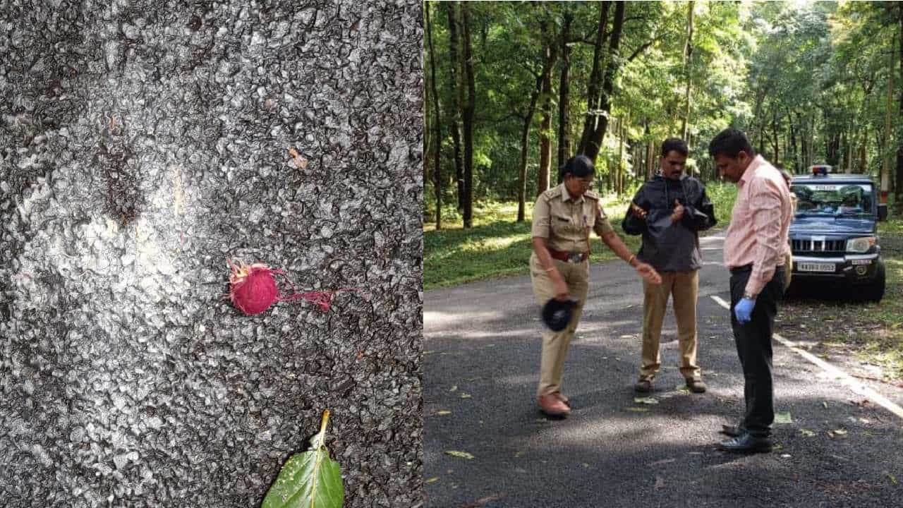 ಉತ್ತರ ಕನ್ನಡ: ಪತ್ರಕರ್ತರು ಪ್ರಯಾಣಿಸುತ್ತಿದ್ದ ಕಾರಿನ ಕೆಳಗೆ ನಾಡಬಾಂಬ್ ಸ್ಫೋಟ! ಉತ್ತರ ಕನ್ನಡ: ಪತ್ರಕರ್ತರು ಪ್ರಯಾಣಿಸುತ್ತಿದ್ದ ಕಾರಿನ ಕೆಳಗೆ ನಾಡಬಾಂಬ್ ಸ್ಫೋಟ!