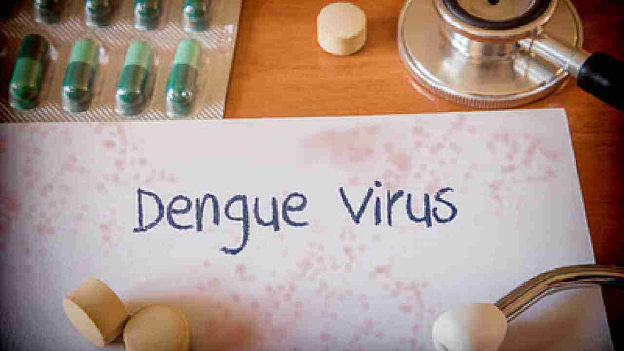 ದಿನೇ ದಿನೆ ಹೆಚ್ಚುತ್ತಲೇ ಇದೆ ಡೆಂಗ್ಯೂ: ರಾಜ್ಯದಲ್ಲಿ 12 ಸಾವಿರ ಪ್ರಕರಣಗಳು ಪತ್ತೆ