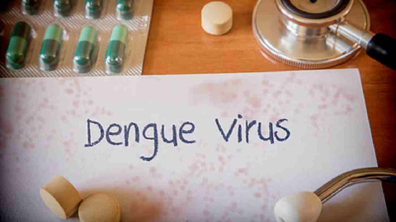 ದಿನೇ ದಿನೆ ಹೆಚ್ಚುತ್ತಲೇ ಇದೆ ಡೆಂಗ್ಯೂ: ರಾಜ್ಯದಲ್ಲಿ 12 ಸಾವಿರ ಪ್ರಕರಣಗಳು ಪತ್ತೆ