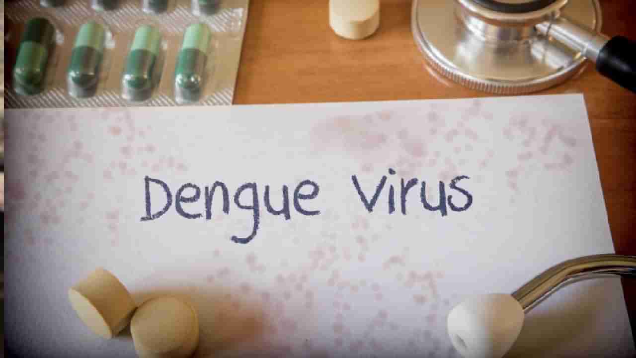 Dengue Fever: ಮಾನ್ಸೂನ್ ಸಮಯದಲ್ಲಿ ಡೆಂಗ್ಯೂ ಜ್ವರ ಹೆಚ್ಚಳ; ಏನು ಮಾಡಬೇಕು? ಏನು ಮಾಡಬಾರದು?