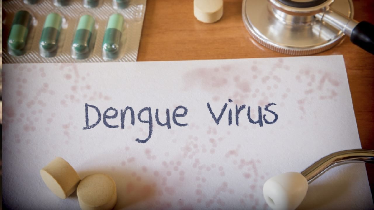 Dengue Fever: ಮಾನ್ಸೂನ್ ಸಮಯದಲ್ಲಿ ಡೆಂಗ್ಯೂ ಜ್ವರ ಹೆಚ್ಚಳ; ಏನು ಮಾಡಬೇಕು? ಏನು ಮಾಡಬಾರದು? Dengue Fever: ಮಾನ್ಸೂನ್ ಸಮಯದಲ್ಲಿ ಡೆಂಗ್ಯೂ ಜ್ವರ ಹೆಚ್ಚಳ; ಏನು ಮಾಡಬೇಕು? ಏನು ಮಾಡಬಾರದು?