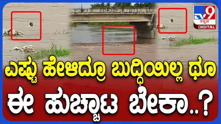 ಉಕ್ಕಿ ಹರಿಯುತ್ತಿರುವ ಘಟಪ್ರಭಾ ನದಿಗೆ ಗುಂಡು ಹಾಕಿದ್ದ ‘ಗುಂಡ’ ಸೇತುವೆ ಮೇಲಿಂದ ಧುಮುಕಿದ! ಉಕ್ಕಿ ಹರಿಯುತ್ತಿರುವ ಘಟಪ್ರಭಾ ನದಿಗೆ ಗುಂಡು ಹಾಕಿದ್ದ ‘ಗುಂಡ’ ಸೇತುವೆ ಮೇಲಿಂದ ಧುಮುಕಿದ!