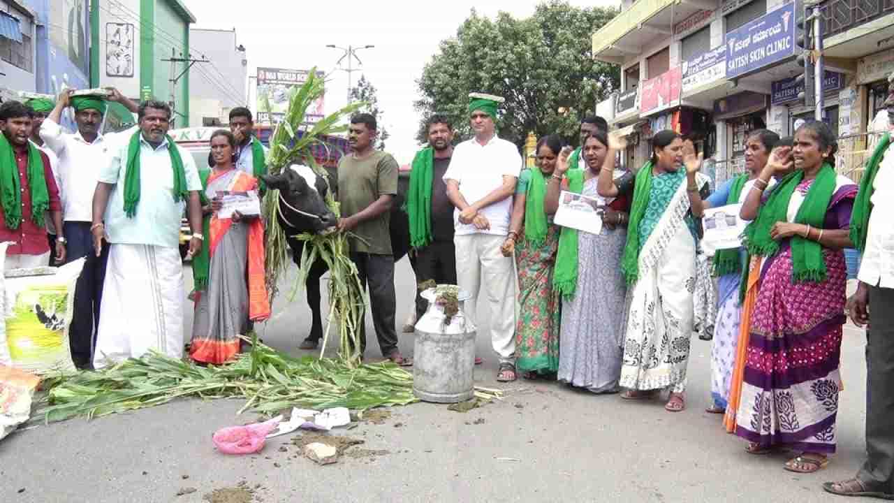 ಹಾಲು ಖರೀದಿ ದರ ಕಡಿತ: ಕೋಲಾರದಲ್ಲಿ ಭುಗಿಲೆದ್ದ ರೈತರ ಆಕ್ರೋಶ ಹಾಲು ಖರೀದಿ ದರ ಕಡಿತ: ಕೋಲಾರದಲ್ಲಿ ಭುಗಿಲೆದ್ದ ರೈತರ ಆಕ್ರೋಶ