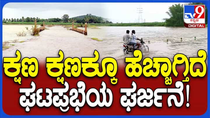 ಬಾಗಲಕೋಟೆ: ಉಕ್ಕಿ ಹರಿಯುತ್ತಿರುವ ಘಟಪ್ರಭಾ ನದಿ, ಜಿಲ್ಲೆಯ ಹಲವಾರು ಕಿರು ಸೇತುವೆಗಳು ಜಲಾವೃತ ಬಾಗಲಕೋಟೆ: ಉಕ್ಕಿ ಹರಿಯುತ್ತಿರುವ ಘಟಪ್ರಭಾ ನದಿ, ಜಿಲ್ಲೆಯ ಹಲವಾರು ಕಿರು ಸೇತುವೆಗಳು ಜಲಾವೃತ