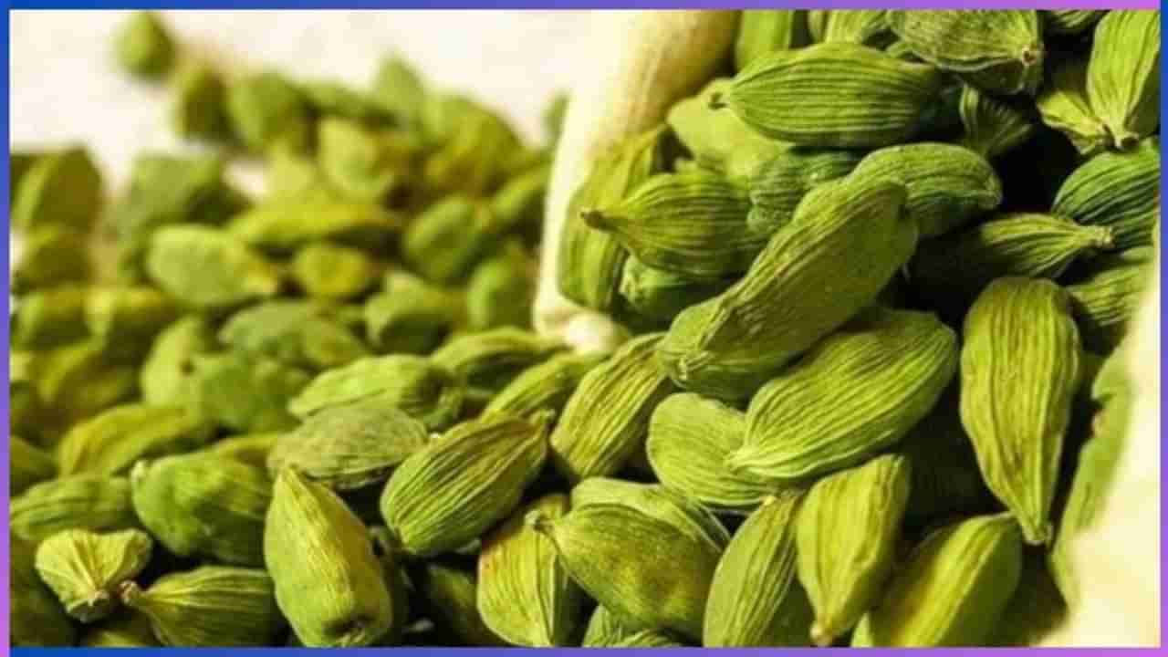 Cardamom health benefits: ಏಲಕ್ಕಿಯಲ್ಲಿರುವ ಆರೋಗ್ಯ ಪ್ರಯೋಜನ ತಿಳಿದರೆ ಅಚ್ಚರಿ ಪಡುತ್ತೀರಾ