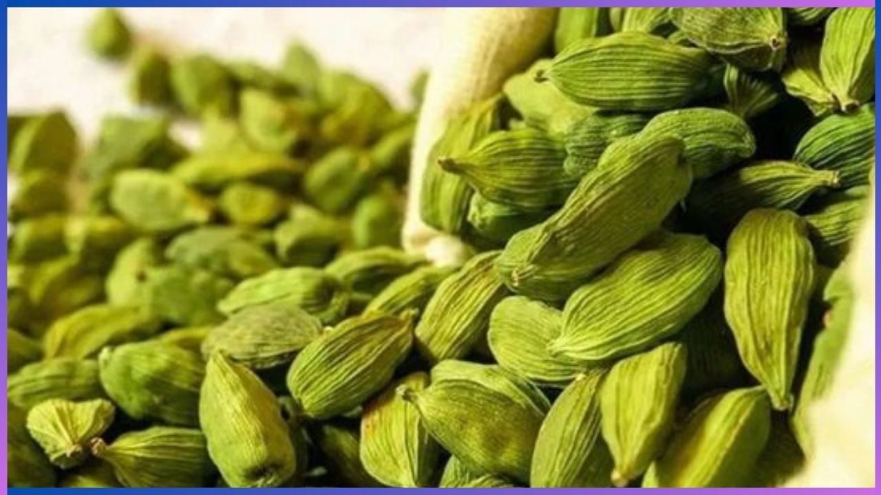 Cardamom health benefits: ಏಲಕ್ಕಿಯಲ್ಲಿರುವ ಆರೋಗ್ಯ ಪ್ರಯೋಜನ ತಿಳಿದರೆ ಅಚ್ಚರಿ ಪಡುತ್ತೀರಾ