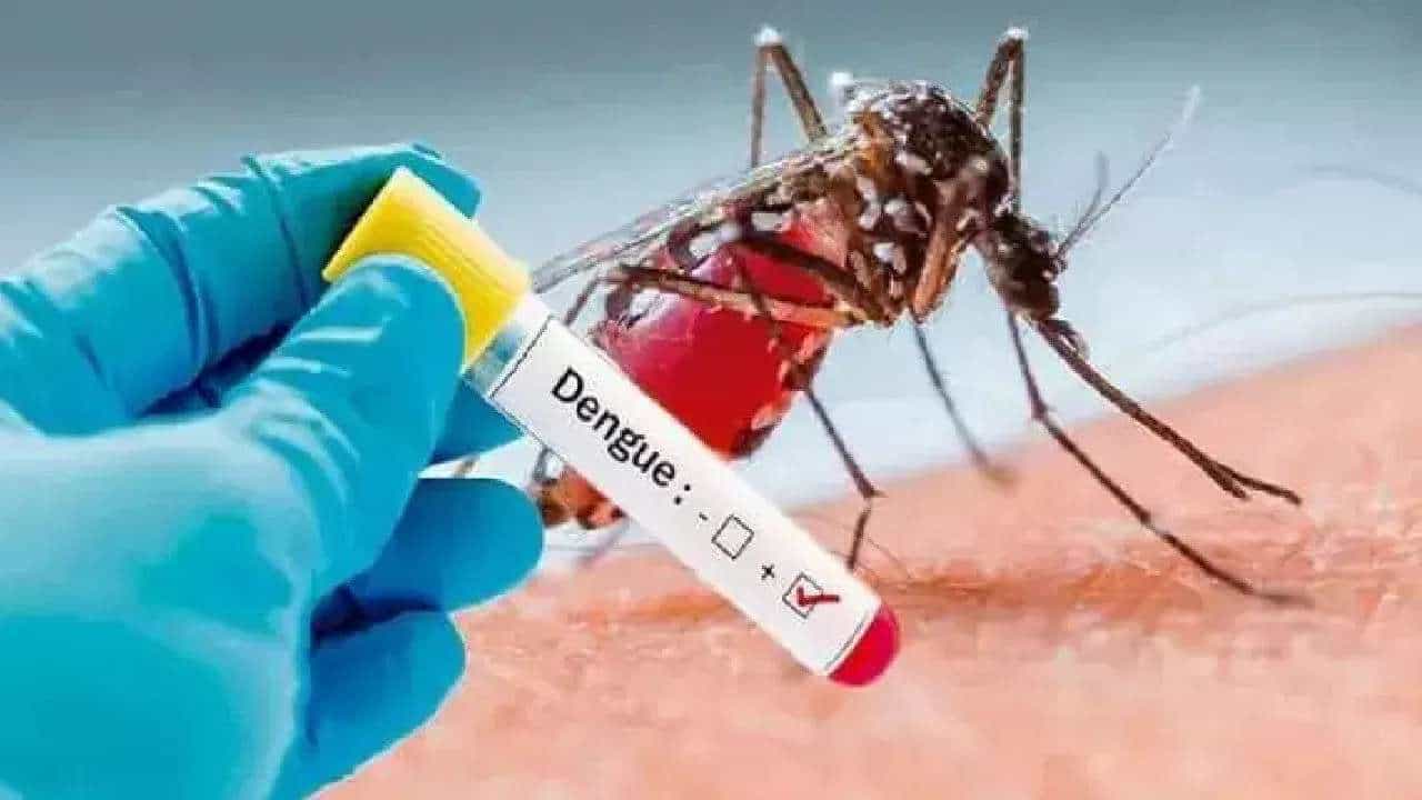 Health Tips: ಮಳೆಗಾಲ ಎಷ್ಟು ಆನಂದದಾಯಕವೋ ಅಷ್ಟೇ ಅನಾರೋಗ್ಯಕಾರಕ ! Health Tips: ಮಳೆಗಾಲ ಎಷ್ಟು ಆನಂದದಾಯಕವೋ ಅಷ್ಟೇ ಅನಾರೋಗ್ಯಕಾರಕ !