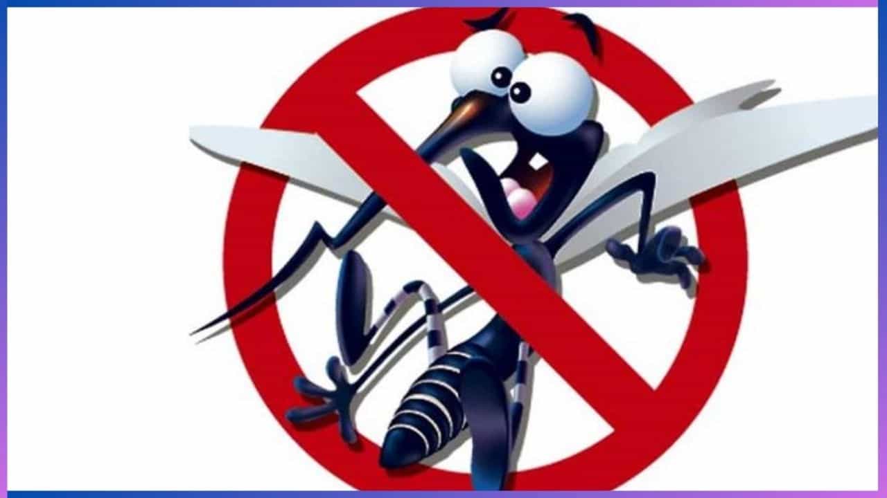 Dengue spike: ಮಕ್ಕಳಲ್ಲಿ ದಿನೇ ದಿನೇ ಹೆಚ್ಚುತ್ತಿದೆ ಡೆಂಗ್ಯೂ, ಪೋಷಕರೇ ಎಚ್ಚರ ವಹಿಸಿ ಎಂದ ಡಾ.ಸುಧೀರ್ Dengue spike: ಮಕ್ಕಳಲ್ಲಿ ದಿನೇ ದಿನೇ ಹೆಚ್ಚುತ್ತಿದೆ ಡೆಂಗ್ಯೂ, ಪೋಷಕರೇ ಎಚ್ಚರ ವಹಿಸಿ ಎಂದ ಡಾ.ಸುಧೀರ್