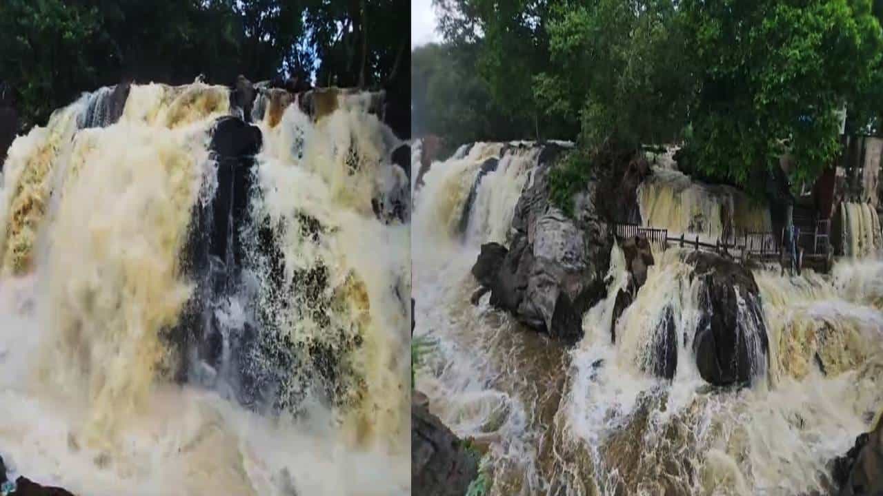 ಭಾರಿ ಮಳೆ: ವಾವ್! ಕಣ್ಮನ ಸೆಳೆಯುತ್ತಿದೆ ಹೊಗೇನಕಲ್ ಜಲಪಾತ ಭಾರಿ ಮಳೆ: ವಾವ್! ಕಣ್ಮನ ಸೆಳೆಯುತ್ತಿದೆ ಹೊಗೇನಕಲ್ ಜಲಪಾತ