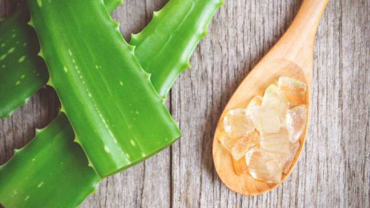 Glowing Skin: ಕಾಂತಿಯುತ ತ್ವಚೆ ಪಡೆಯಲು ಅಲೋವೆರಾ ಹೀಗೆ ಬಳಸಿ Glowing Skin: ಕಾಂತಿಯುತ ತ್ವಚೆ ಪಡೆಯಲು ಅಲೋವೆರಾ ಹೀಗೆ ಬಳಸಿ