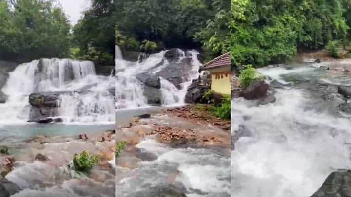 ಉತ್ತರ ಕನ್ನಡ: ನಿರಂತರ ಮಳೆಗೆ ಜೀವ ಕಳೆ ಪಡೆದುಕೊಂಡ ಹೊಸದೇವತಾ ಫಾಲ್ಸ್ ಉತ್ತರ ಕನ್ನಡ: ನಿರಂತರ ಮಳೆಗೆ ಜೀವ ಕಳೆ ಪಡೆದುಕೊಂಡ ಹೊಸದೇವತಾ ಫಾಲ್ಸ್