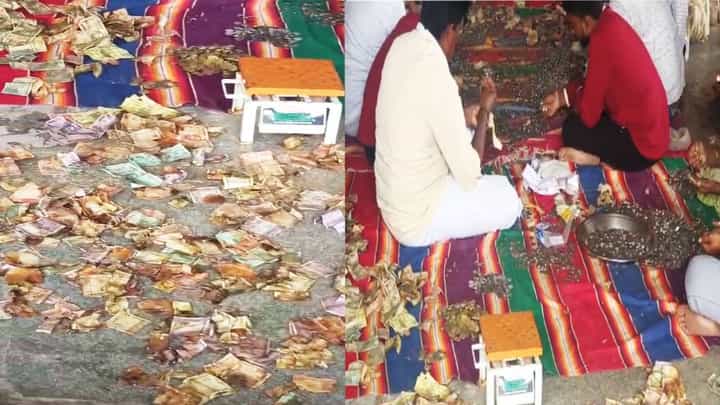 ಕೋಲಾರ: ಮಳೆ ನೀರು ಬಿದ್ದು ಕುರುಡುಮಲೆ ದೇವಸ್ಥಾನದ ಕಾಣಿಕೆ ಹುಂಡಿಯಲ್ಲಿದ್ದ ಹಣ ನೀರು ಪಾಲು ಕೋಲಾರ: ಮಳೆ ನೀರು ಬಿದ್ದು ಕುರುಡುಮಲೆ ದೇವಸ್ಥಾನದ ಕಾಣಿಕೆ ಹುಂಡಿಯಲ್ಲಿದ್ದ ಹಣ ನೀರು ಪಾಲು