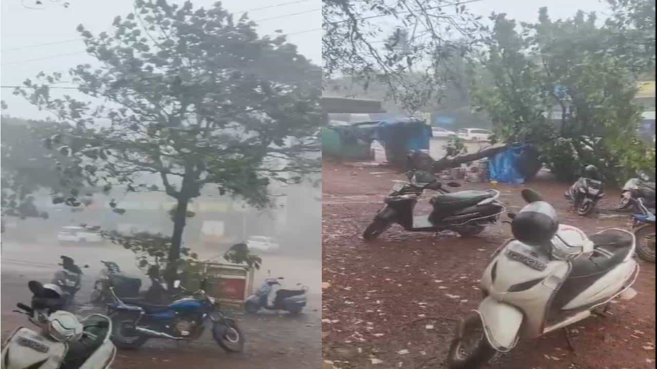 ಮಂಗಳೂರು: ಸುಂಟರಗಾಳಿಗೆ ಧರೆಗೆ ಉರುಳಿದ ವಿದ್ಯುತ್ ಕಂಬ, ಮರ; ವಿಡಿಯೋ ನೋಡಿ ಮಂಗಳೂರು: ಸುಂಟರಗಾಳಿಗೆ ಧರೆಗೆ ಉರುಳಿದ ವಿದ್ಯುತ್ ಕಂಬ, ಮರ; ವಿಡಿಯೋ ನೋಡಿ