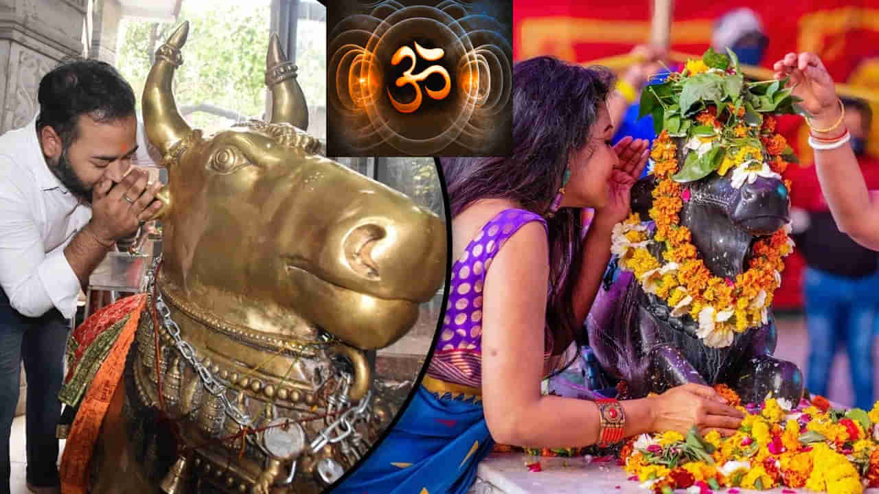 Nandi Ear: ನಂದಿಯ ಯಾವ ಕಿವಿಯಲ್ಲಿ ಶಿವನಿಗೆ ಕೋರಿಕೆ ಸಲ್ಲಿಸಬೇಕು? ಕೆಟ್ಟದಾಗಿ ಮಾತನಾಡಬೇಡಿ, ಚಾಡಿ ಹೇಳಬೇಡಿ!