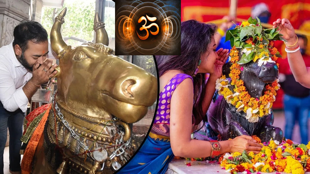 Nandi Ear: ನಂದಿಯ ಯಾವ ಕಿವಿಯಲ್ಲಿ ಶಿವನಿಗೆ ಕೋರಿಕೆ ಸಲ್ಲಿಸಬೇಕು? ಕೆಟ್ಟದಾಗಿ ಮಾತನಾಡಬೇಡಿ, ಚಾಡಿ ಹೇಳಬೇಡಿ! Nandi Ear: ನಂದಿಯ ಯಾವ ಕಿವಿಯಲ್ಲಿ ಶಿವನಿಗೆ ಕೋರಿಕೆ ಸಲ್ಲಿಸಬೇಕು? ಕೆಟ್ಟದಾಗಿ ಮಾತನಾಡಬೇಡಿ, ಚಾಡಿ ಹೇಳಬೇಡಿ!