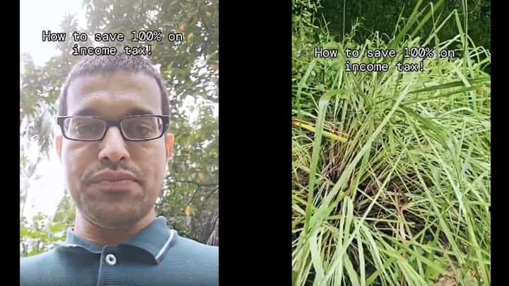 ಹುಲ್ಲು ಬೆಳೆಯಿರಿ..! ನೂರಕ್ಕೆ ನೂರು ತೆರಿಗೆ ಉಳಿಸಲು ಉಡುಪಿಯ ಈ ವ್ಯಕ್ತಿಯ ಐಡಿಯಾ ಹುಲ್ಲು ಬೆಳೆಯಿರಿ..! ನೂರಕ್ಕೆ ನೂರು ತೆರಿಗೆ ಉಳಿಸಲು ಉಡುಪಿಯ ಈ ವ್ಯಕ್ತಿಯ ಐಡಿಯಾ