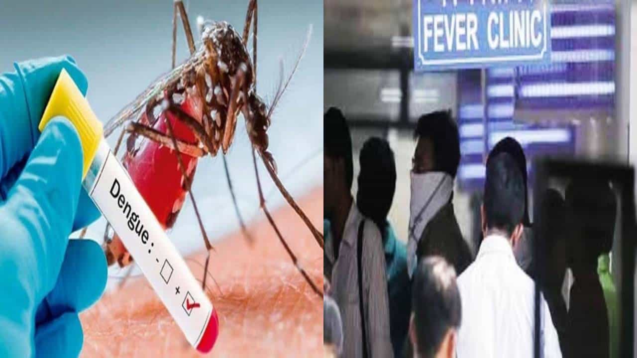 ಬೆಂಗಳೂರಿನಲ್ಲಿ ಹೆಚ್ಚಿದ ಡೆಂಗ್ಯೂ ಅಬ್ಬರ; ಸಿಲಿಕಾನ್ ಸಿಟಿಗೆ ಕಾದಿದ್ಯಾ ಸೆಪ್ಟೆಂಬರ್ ಗಂಡಾಂತರ..?