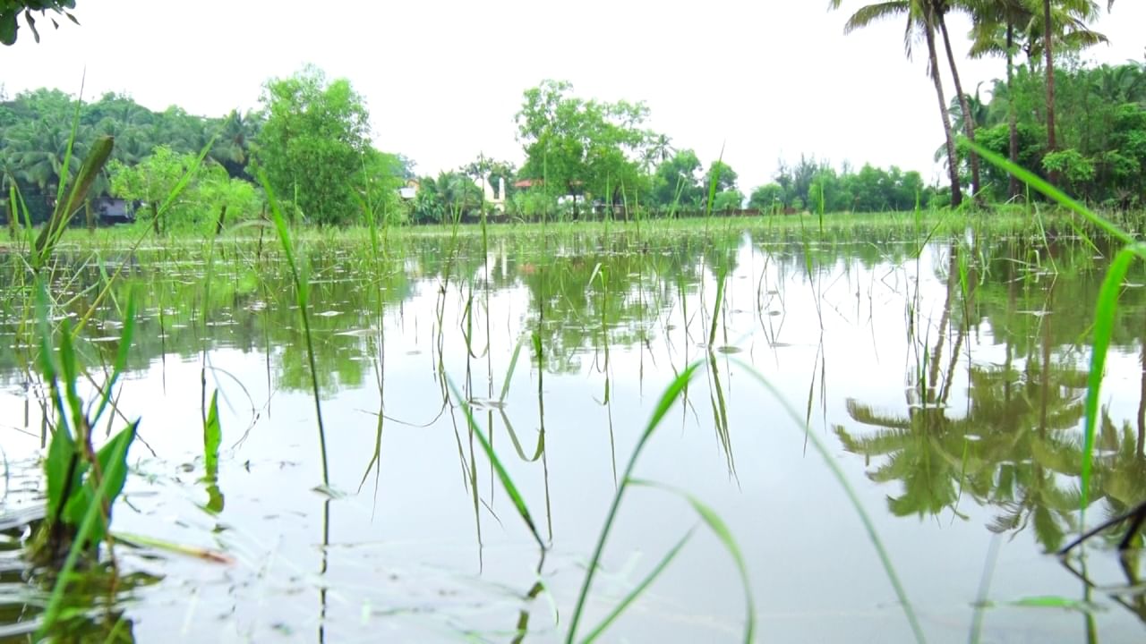 Karnataka Rains, Heavy monsoon rain across coastal districts and other parts of state, Kannada news