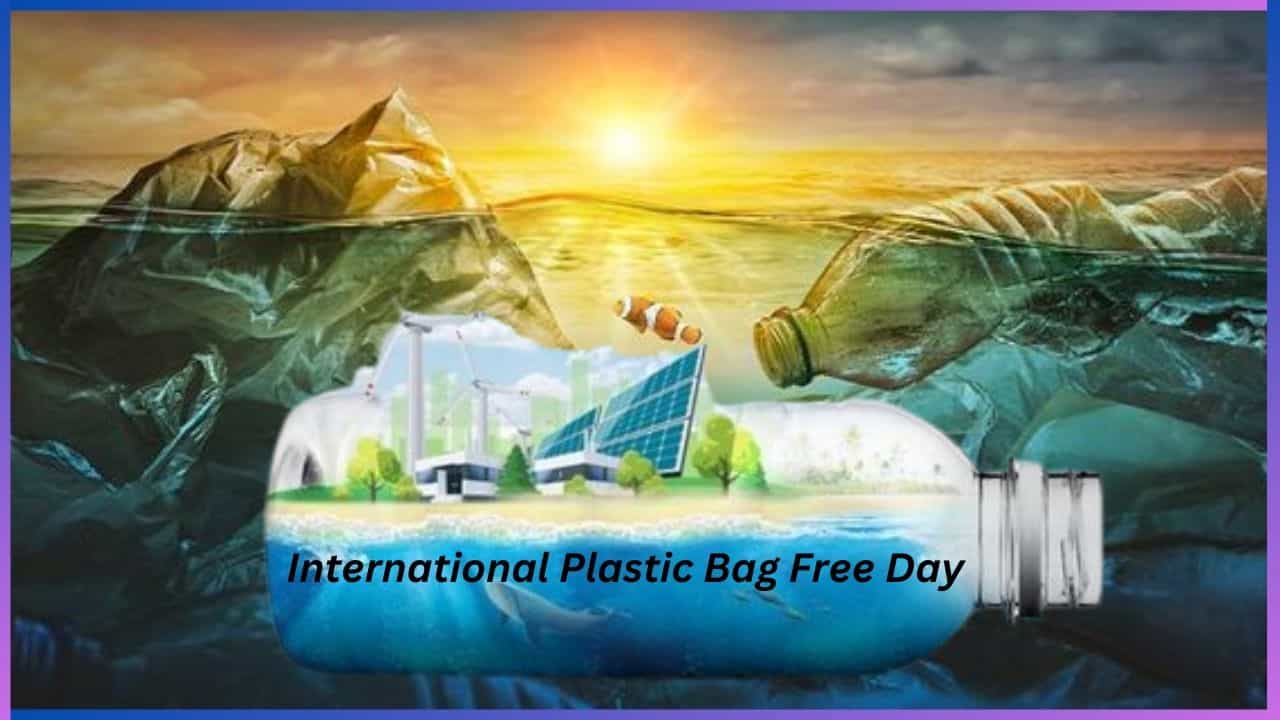 International Plastic Bag Free Day 2024 : ಪರಿಸರ ಸ್ನೇಹಿ ವಸ್ತುಗಳ ಬಳಕೆ ಹೆಚ್ಚಿಸಿ, ಪ್ಲಾಸ್ಟಿಕ್ ಮುಕ್ತ ಪರಿಸರ ನಿರ್ಮಿಸಿ International Plastic Bag Free Day 2024 : ಪರಿಸರ ಸ್ನೇಹಿ ವಸ್ತುಗಳ ಬಳಕೆ ಹೆಚ್ಚಿಸಿ, ಪ್ಲಾಸ್ಟಿಕ್ ಮುಕ್ತ ಪರಿಸರ ನಿರ್ಮಿಸಿ