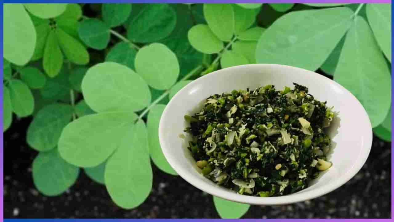 Tagate Leaves: ಮಳೆಗಾಲದ ಸ್ಪೆಷಲ್ ರೆಸಿಪಿ ತಗತೆ ಸೊಪ್ಪಿನ ಪಲ್ಯ, ಮಾಡುವುದು ಹೇಗೆ?