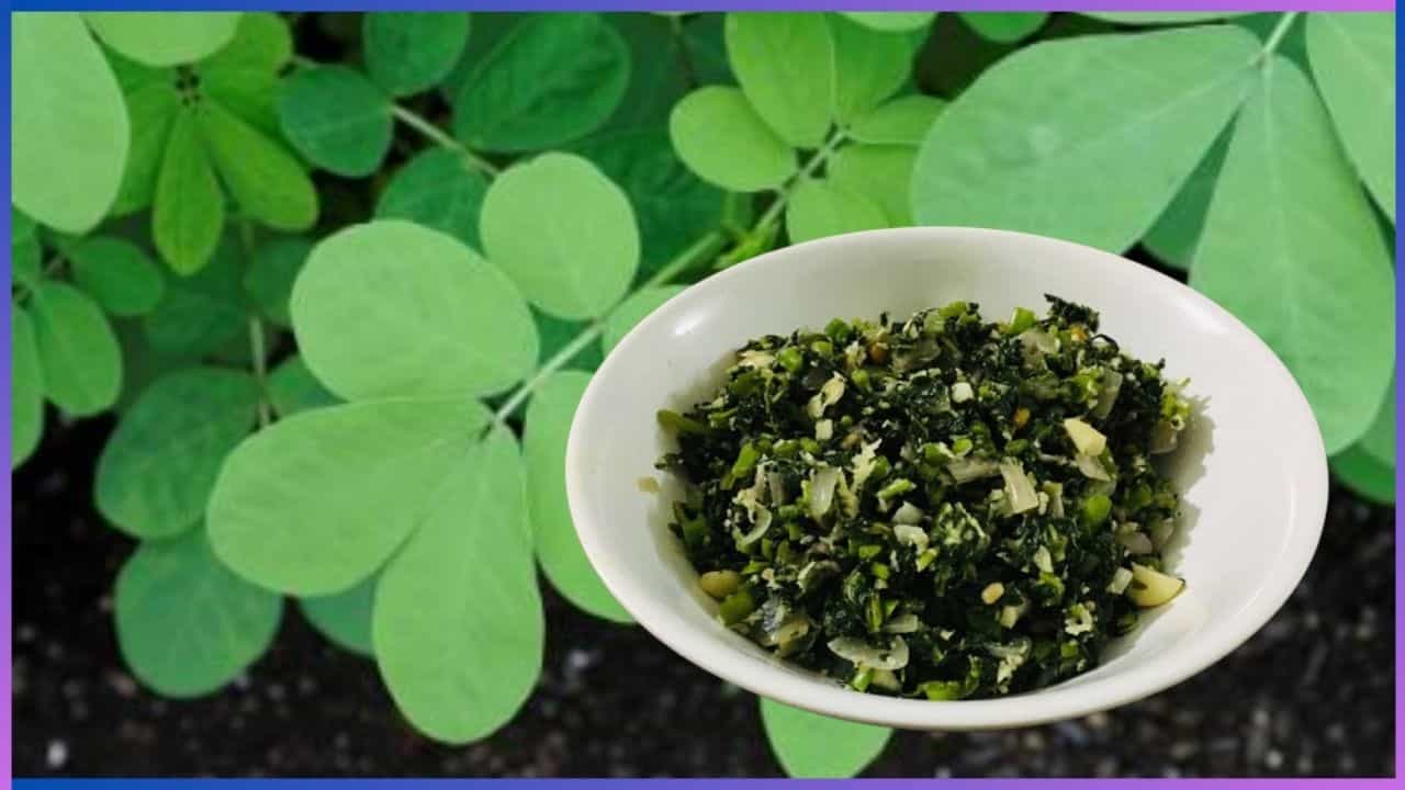 Tagate Leaves: ಮಳೆಗಾಲದ ಸ್ಪೆಷಲ್ ರೆಸಿಪಿ ತಗತೆ ಸೊಪ್ಪಿನ ಪಲ್ಯ, ಮಾಡುವುದು ಹೇಗೆ? Tagate Leaves: ಮಳೆಗಾಲದ ಸ್ಪೆಷಲ್ ರೆಸಿಪಿ ತಗತೆ ಸೊಪ್ಪಿನ ಪಲ್ಯ, ಮಾಡುವುದು ಹೇಗೆ?