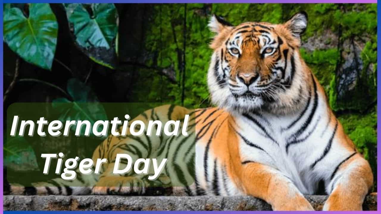 International Tiger Day 2024 : ಹುಲಿ ಸಂತತಿಯನ್ನು ಉಳಿಸಿ, ಪ್ರಕೃತಿಯನ್ನು ರಕ್ಷಿಸಿ International Tiger Day 2024 : ಹುಲಿ ಸಂತತಿಯನ್ನು ಉಳಿಸಿ, ಪ್ರಕೃತಿಯನ್ನು ರಕ್ಷಿಸಿ