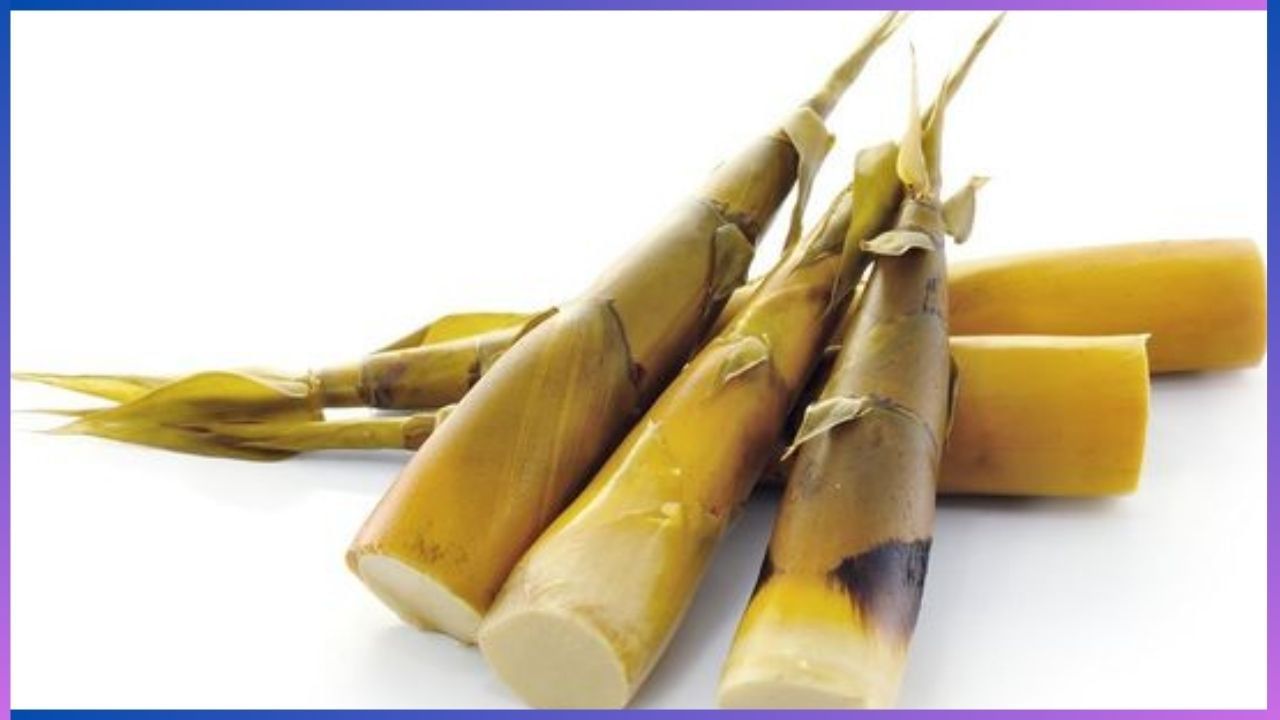 Bamboo Shoots Benefits: ಹಾವು, ಚೇಳು ಕಚ್ಚಿದಾಗ ಕಳಲೆಯ ರಸವೇ ಉತ್ತಮ ಮದ್ದು, ಇದರಲ್ಲಿದೆ ಹಲವು ಆರೋಗ್ಯ ಭಾಗ್ಯ
