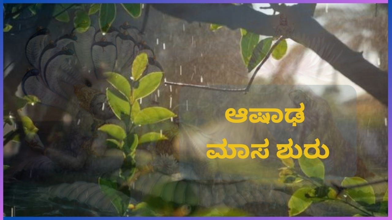 ಆಷಾಢ ಮಾಸದಲ್ಲಿ ಯಾವುದೇ ಶುಭ ಕಾರ್ಯಗಳನ್ನು ಮಾಡಬಾರದೆ? ಇಲ್ಲಿದೆ ವಿದ್ವಾಂಸರ ಅಭಿಪ್ರಾಯ ಆಷಾಢ ಮಾಸದಲ್ಲಿ ಯಾವುದೇ ಶುಭ ಕಾರ್ಯಗಳನ್ನು ಮಾಡಬಾರದೆ? ಇಲ್ಲಿದೆ ವಿದ್ವಾಂಸರ ಅಭಿಪ್ರಾಯ
