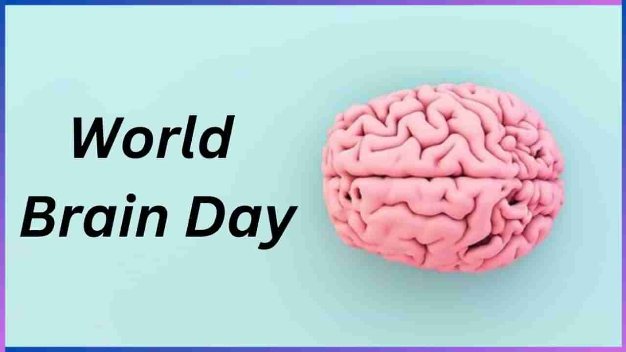 World Brain Day 2024: ಆರೋಗ್ಯಕರ ಮೆದುಳಿಗೆ ಈ ಆಹಾರಗಳ ಸೇವನೆ ಹೆಚ್ಚಿರಲಿ