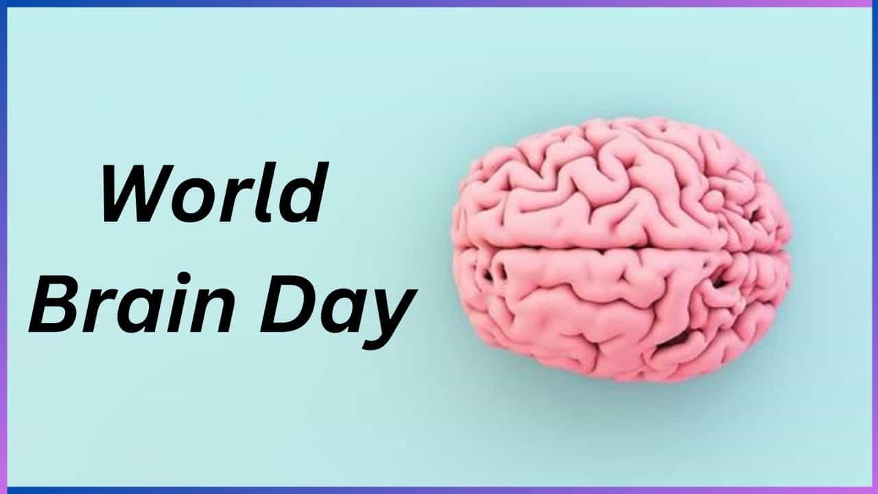 World Brain Day 2024: ಆರೋಗ್ಯಕರ ಮೆದುಳಿಗೆ ಈ ಆಹಾರಗಳ ಸೇವನೆ ಹೆಚ್ಚಿರಲಿ