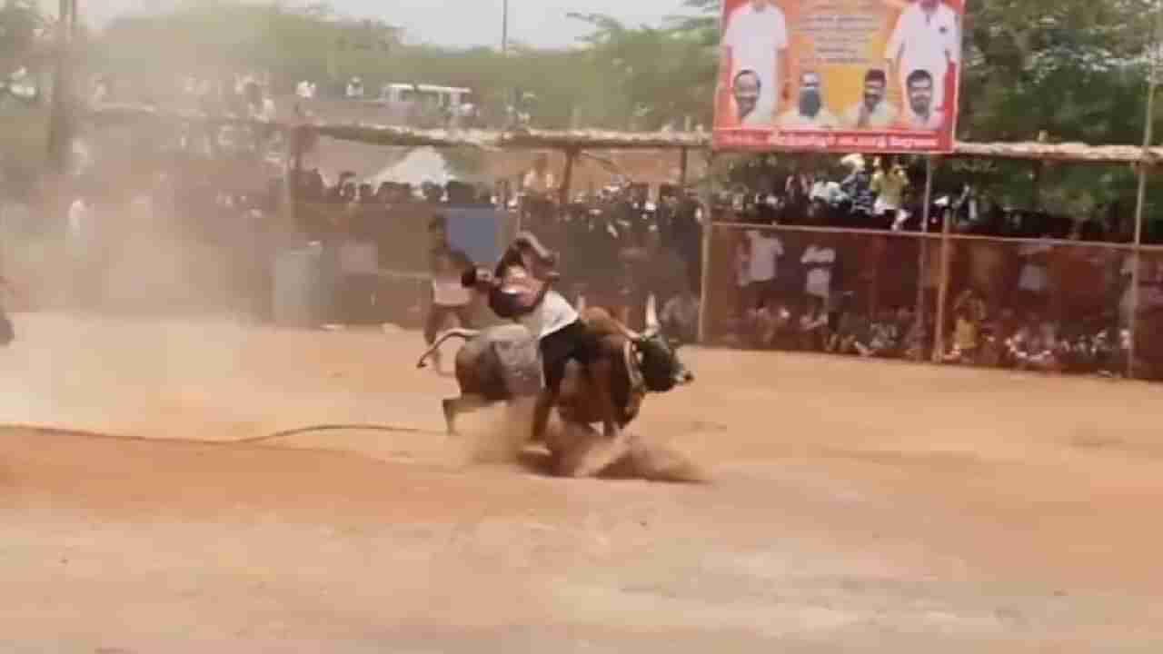 Manjuvirattu Video: ತಮಿಳುನಾಡಿನಲ್ಲಿ ಮಂಜುವಿರಟ್ಟು ವೇಳೆ ಗೂಳಿ ಎದೆಗೆ ಗುದ್ದಿ ಯುವಕ ಸಾವು