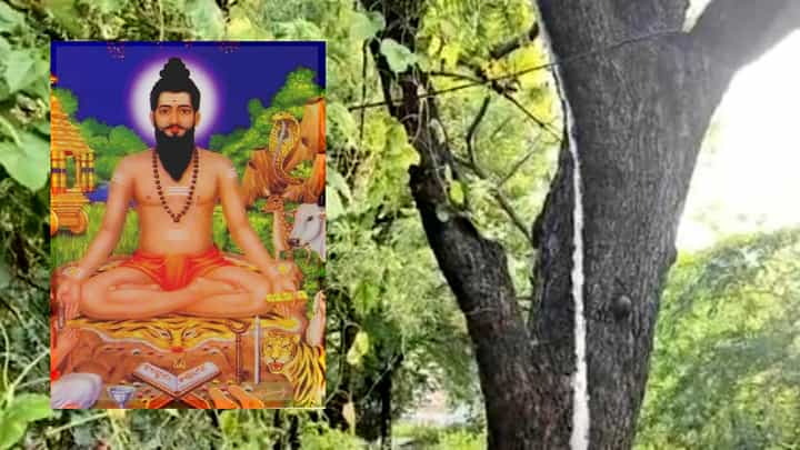 ಅಮೃತ ಧಾರೆ... ಕಾಲಜ್ಞಾನಿ ವೀರಬ್ರಹ್ಮನ್ನ ಭವಿಷ್ಯ ಹೇಳಿದಂತೆ ಆಗುತ್ತಾ? ಯಾವುದರ ಸಂಕೇತ ಅದು! ಅಮೃತ ಧಾರೆ... ಕಾಲಜ್ಞಾನಿ ವೀರಬ್ರಹ್ಮನ್ನ ಭವಿಷ್ಯ ಹೇಳಿದಂತೆ ಆಗುತ್ತಾ? ಯಾವುದರ ಸಂಕೇತ ಅದು!