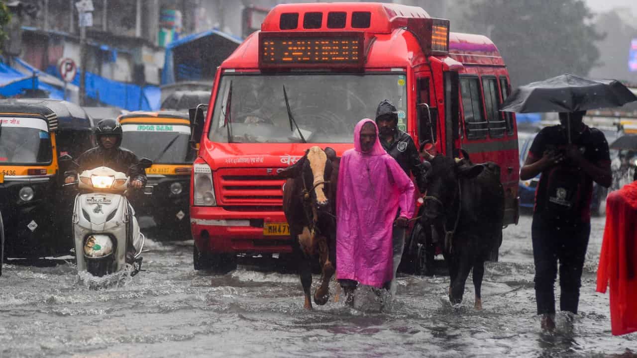 Mumbai rain: ಮುಂಬೈನಲ್ಲಿ ಭಾರೀ ಮಳೆ; ರಸ್ತೆ, ರೈಲು ಸಂಚಾರಕ್ಕೆ ಅಡಚಣೆ Mumbai rain: ಮುಂಬೈನಲ್ಲಿ ಭಾರೀ ಮಳೆ; ರಸ್ತೆ, ರೈಲು ಸಂಚಾರಕ್ಕೆ ಅಡಚಣೆ