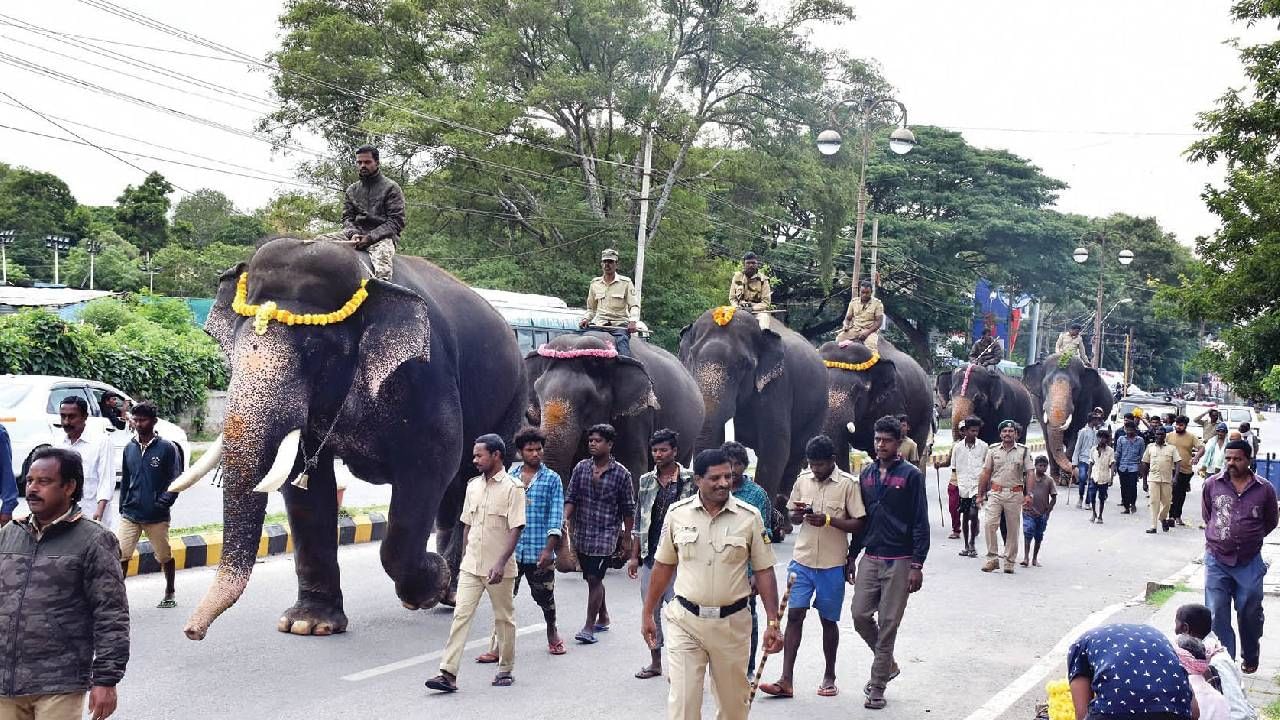 Mysore Dasara 2024: Captain Abhimanyu will carry ambari for 5th time 