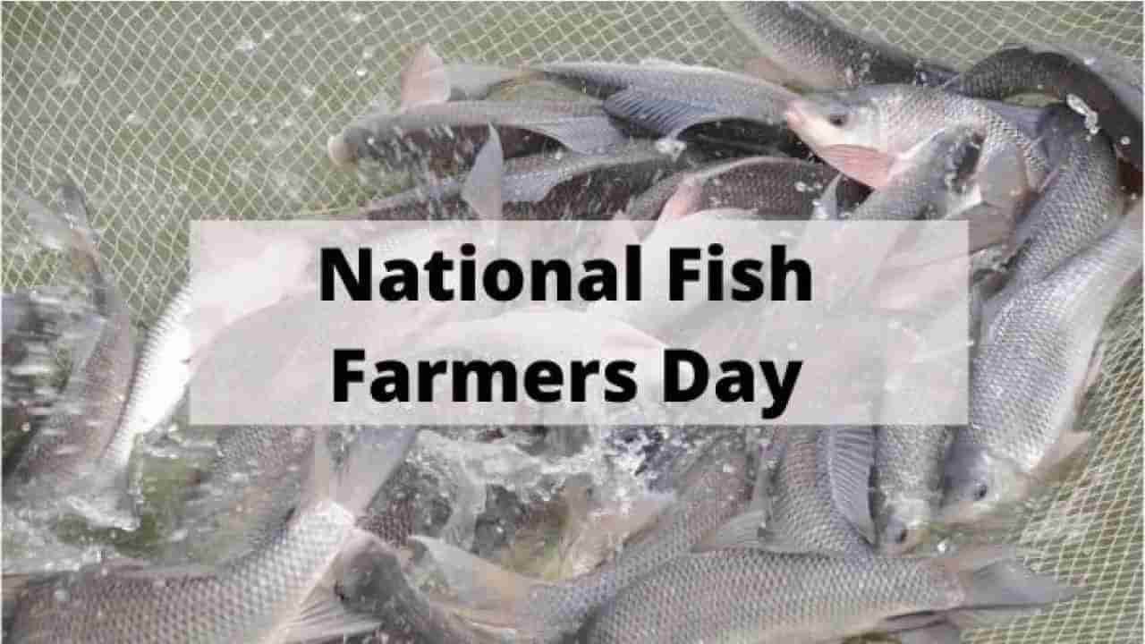 National Fish Farmer’s Day 2024 : ರಾಷ್ಟ್ರೀಯ ಮೀನು ಕೃಷಿಕರ ದಿನವನ್ನು ಭಾರತೀಯ ವಿಜ್ಞಾನಿಗಳಿಗೆ ಸಮರ್ಪಿಸುವುದು ಏಕೆ? ಇಲ್ಲಿದೆ ಮಾಹಿತಿ