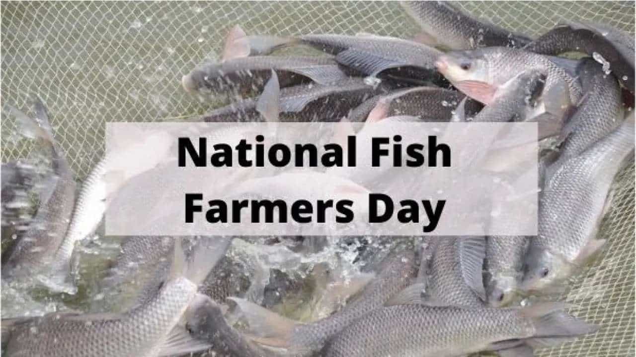 National Fish Farmer’s Day 2024 : ರಾಷ್ಟ್ರೀಯ ಮೀನು ಕೃಷಿಕರ ದಿನವನ್ನು ಭಾರತೀಯ ವಿಜ್ಞಾನಿಗಳಿಗೆ ಸಮರ್ಪಿಸುವುದು ಏಕೆ? ಇಲ್ಲಿದೆ ಮಾಹಿತಿ National Fish Farmer’s Day 2024 : ರಾಷ್ಟ್ರೀಯ ಮೀನು ಕೃಷಿಕರ ದಿನವನ್ನು ಭಾರತೀಯ ವಿಜ್ಞಾನಿಗಳಿಗೆ ಸಮರ್ಪಿಸುವುದು ಏಕೆ? ಇಲ್ಲಿದೆ ಮಾಹಿತಿ