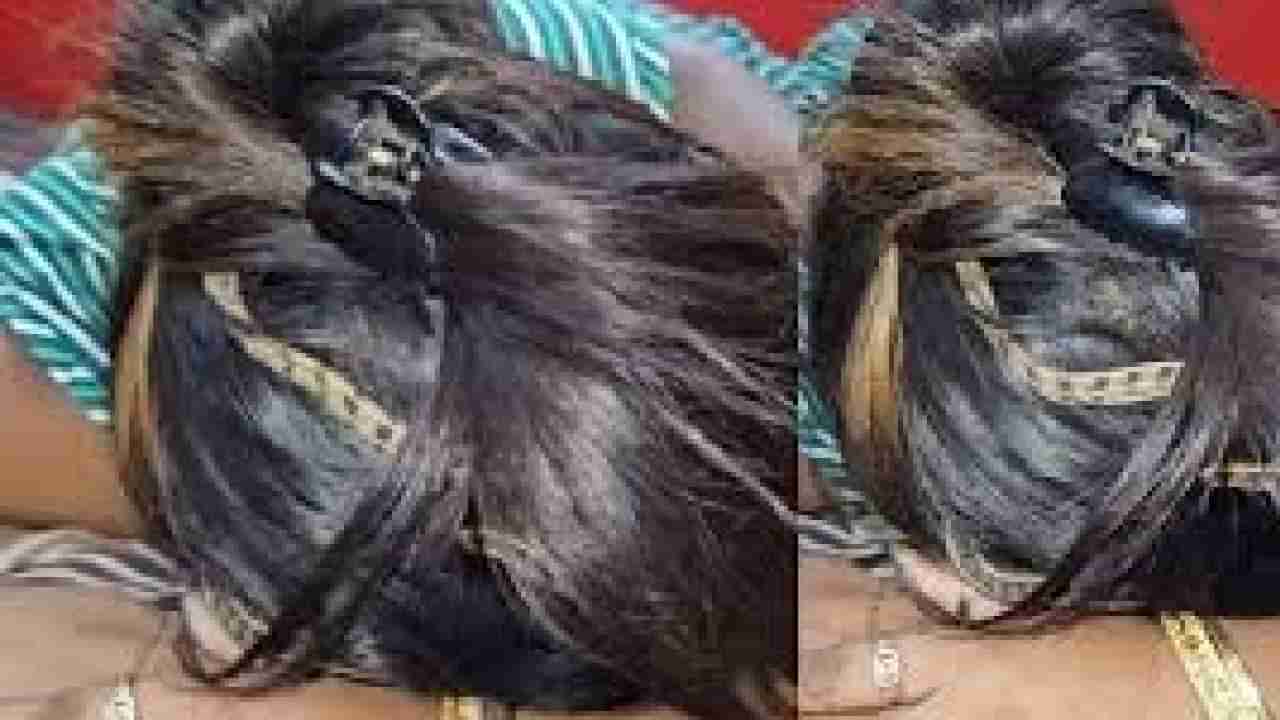 ಮಲಗಿದ್ದ ಮಹಿಳೆಯ ತಲೆಕೂದಲೊಳಗೆ ಹರಿದಾಡಿದ ಹಾವು, ವಿಡಿಯೋ ವೈರಲ್