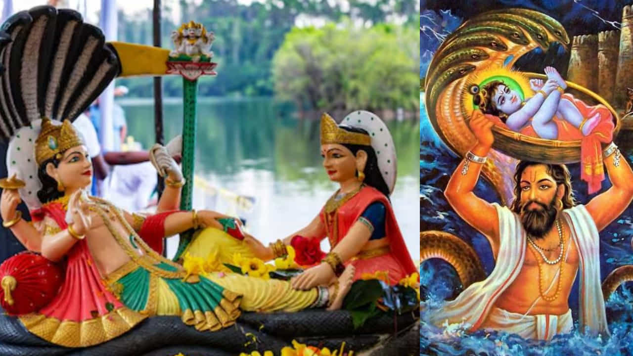 Vasudeva Dwadashi 2024: ವಾಸುದೇವ ದ್ವಾದಶಿ ದಿನ ಹೀಗೆ ಮಾಡಿ, ಸಂತೋಷ ನೆಮ್ಮದಿಯ ಜೀವನ ನಿಮ್ಮದಾಗುತ್ತದೆ Vasudeva Dwadashi 2024: ವಾಸುದೇವ ದ್ವಾದಶಿ ದಿನ ಹೀಗೆ ಮಾಡಿ, ಸಂತೋಷ ನೆಮ್ಮದಿಯ ಜೀವನ ನಿಮ್ಮದಾಗುತ್ತದೆ