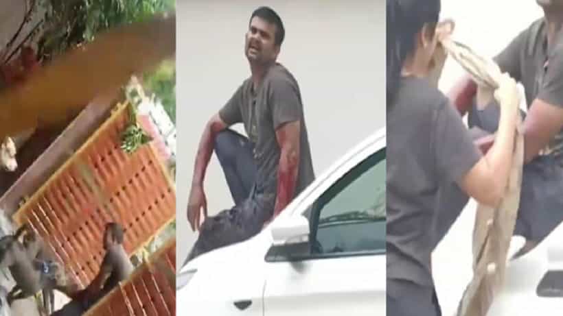 ಪಿಟ್ಬುಲ್ನಿಂದ ಡೆಲಿವರಿ ಮ್ಯಾನ್ ದಾಳಿ; ಕಾಪಾಡಿ ಎಂದು ಅಳುತ್ತಾ ಕಾರಿನ ಮೇಲೆ ಹತ್ತಿದ ಯುವಕ