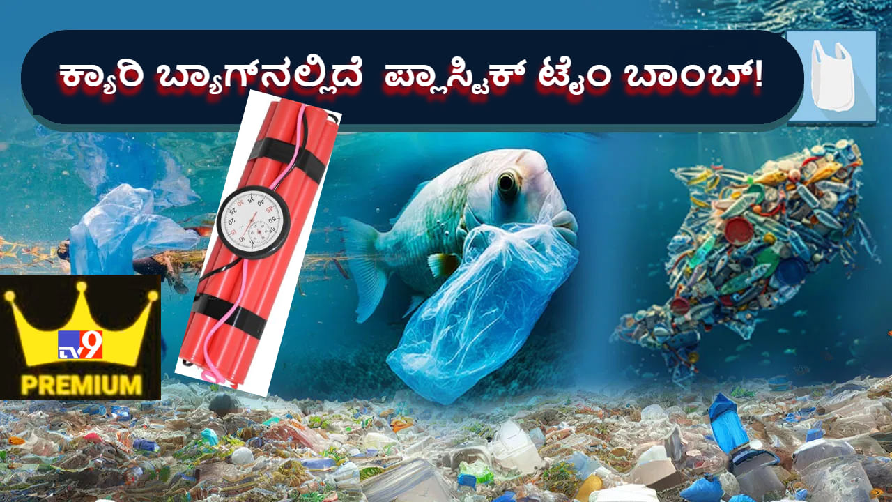 Ticking Plastic Bomb: ಬ್ರಹ್ಮ ರಾಕ್ಷಸನಾಗಿ ಬೆಳೆದಿರುವ ಪ್ಲಾಸ್ಟಿಕ್ ತ್ಯಾಜ್ಯವನ್ನು ನಾಶಪಡಿಸುವುದು ಸಾಧ್ಯವೇ ಇಲ್ಲ! ಹಾಗಾದ್ರೆ ಮುಂದೇನು? Ticking Plastic Bomb: ಬ್ರಹ್ಮ ರಾಕ್ಷಸನಾಗಿ ಬೆಳೆದಿರುವ ಪ್ಲಾಸ್ಟಿಕ್ ತ್ಯಾಜ್ಯವನ್ನು ನಾಶಪಡಿಸುವುದು ಸಾಧ್ಯವೇ ಇಲ್ಲ! ಹಾಗಾದ್ರೆ ಮುಂದೇನು?