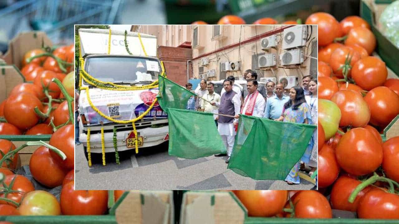 ಟೊಮೆಟೋ ಬೆಲೆ ಏರಿಕೆ ನಿಯಂತ್ರಣಕ್ಕೆ ಕ್ರಮ; ಸಬ್ಸಿಡಿ ದರದಲ್ಲಿ ಸರ್ಕಾರದಿಂದಲೇ ಟೊಮೆಟೋ ಮಾರಾಟ ಟೊಮೆಟೋ ಬೆಲೆ ಏರಿಕೆ ನಿಯಂತ್ರಣಕ್ಕೆ ಕ್ರಮ; ಸಬ್ಸಿಡಿ ದರದಲ್ಲಿ ಸರ್ಕಾರದಿಂದಲೇ ಟೊಮೆಟೋ ಮಾರಾಟ