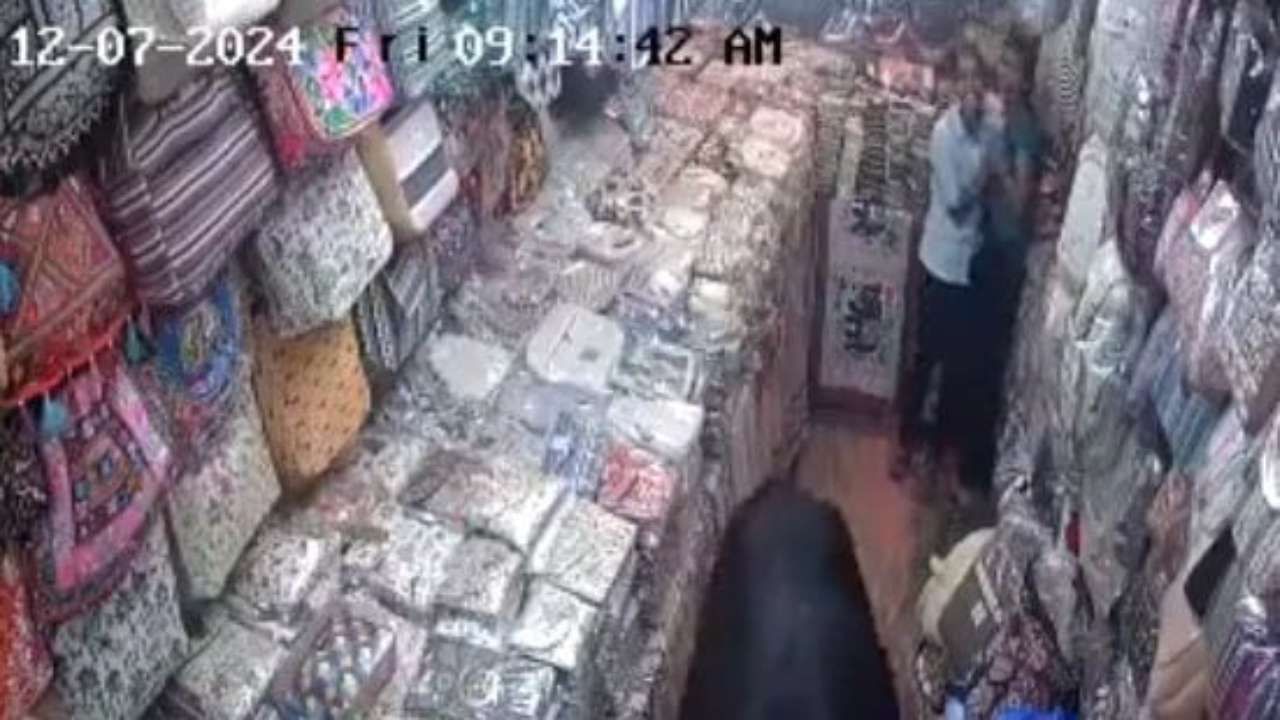 Video: ಗೂಳಿ ಕಾಳಗ; ಅಂಗಡಿಗೆ ನುಗ್ಗಿ ಇಬ್ಬರು ಯುವತಿಯರನ್ನು ತುಳಿದು ಹಾಕಿದ ಗೂಳಿಗಳು Video: ಗೂಳಿ ಕಾಳಗ; ಅಂಗಡಿಗೆ ನುಗ್ಗಿ ಇಬ್ಬರು ಯುವತಿಯರನ್ನು ತುಳಿದು ಹಾಕಿದ ಗೂಳಿಗಳು