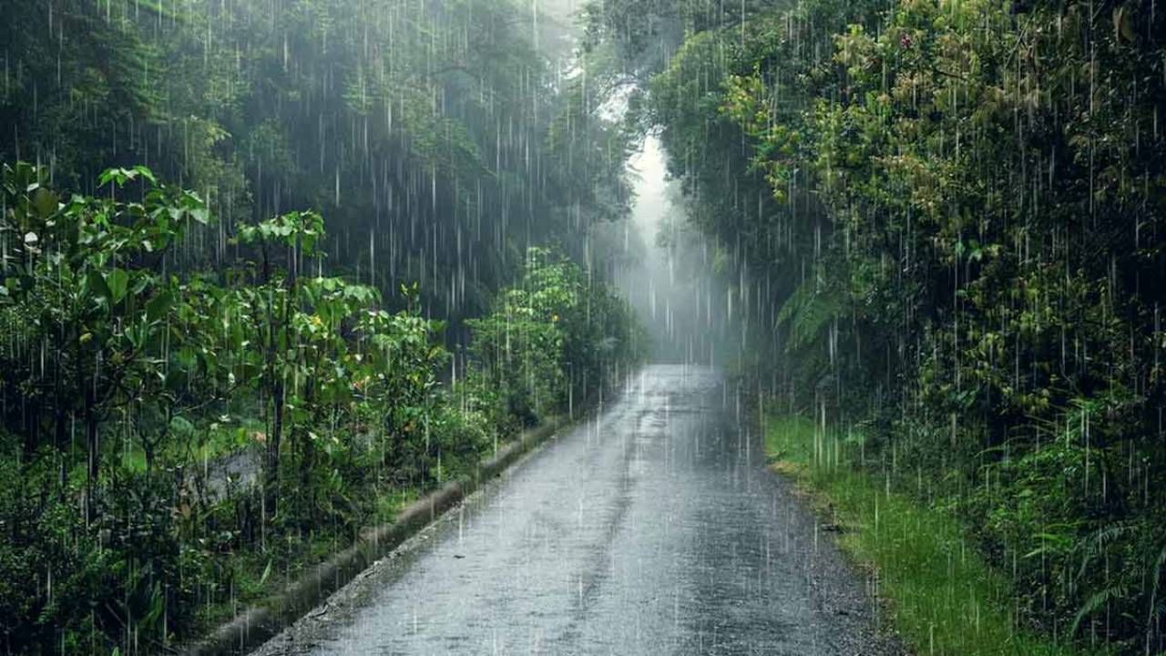 Karnataka Rains: ಜುಲೈ 13ರಿಂದ ಕರ್ನಾಟಕದ ಕರಾವಳಿ ಸೇರಿ 13 ಜಿಲ್ಲೆಗಳಲ್ಲಿ ಮತ್ತಷ್ಟು ಹೆಚ್ಚಲಿದೆ ಮಳೆಯ ಅಬ್ಬರ