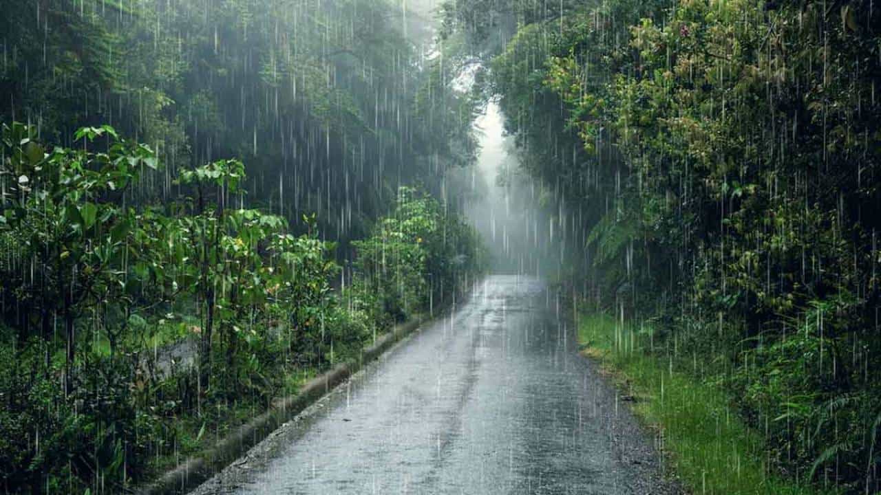 Karnataka Rains: ಜುಲೈ 13ರಿಂದ ಕರ್ನಾಟಕದ ಕರಾವಳಿ ಸೇರಿ 13 ಜಿಲ್ಲೆಗಳಲ್ಲಿ ಮತ್ತಷ್ಟು ಹೆಚ್ಚಲಿದೆ ಮಳೆಯ ಅಬ್ಬರ Karnataka Rains: ಜುಲೈ 13ರಿಂದ ಕರ್ನಾಟಕದ ಕರಾವಳಿ ಸೇರಿ 13 ಜಿಲ್ಲೆಗಳಲ್ಲಿ ಮತ್ತಷ್ಟು ಹೆಚ್ಚಲಿದೆ ಮಳೆಯ ಅಬ್ಬರ