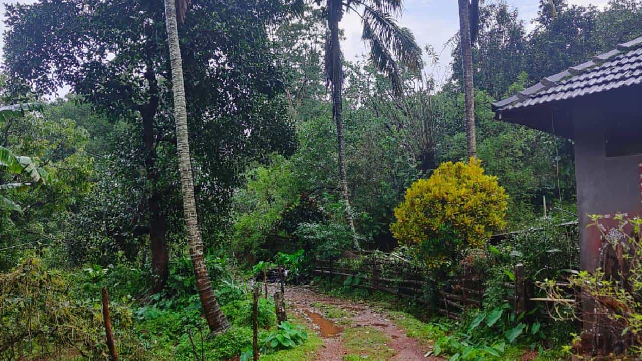 Karnataka Rains: ಕರ್ನಾಟಕದ ಕರಾವಳಿ, ಮಲೆನಾಡಿನಲ್ಲಿ ಇಂದಿನಿಂದ ಕಡಿಮೆಯಾಗಲಿದೆ ಮಳೆಯ ಪ್ರಮಾಣ